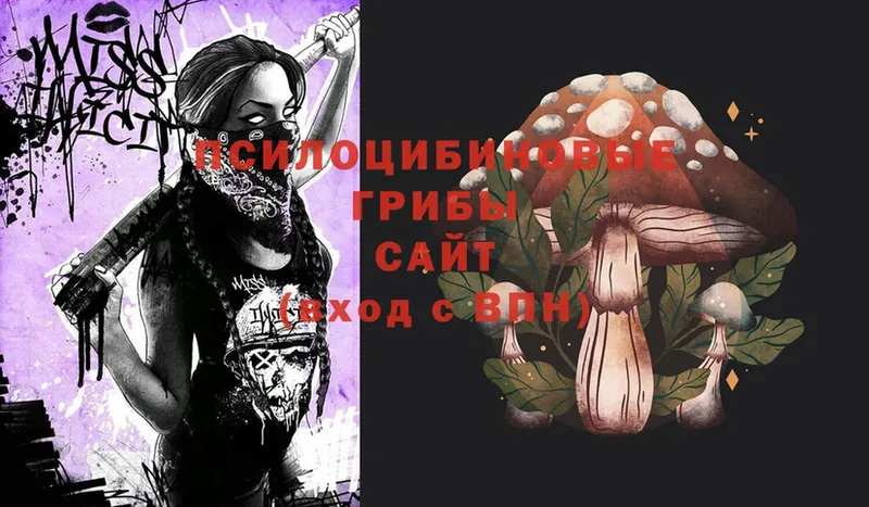 Псилоцибиновые грибы Psilocybe  Кирсанов 